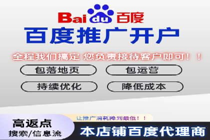 专业SEM托管服务成功案例分享